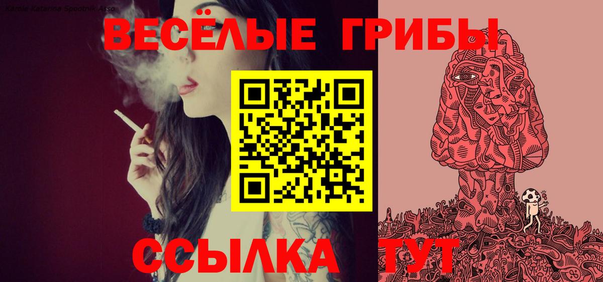 Галлюциногенные грибы Cubensis Солнечногорск