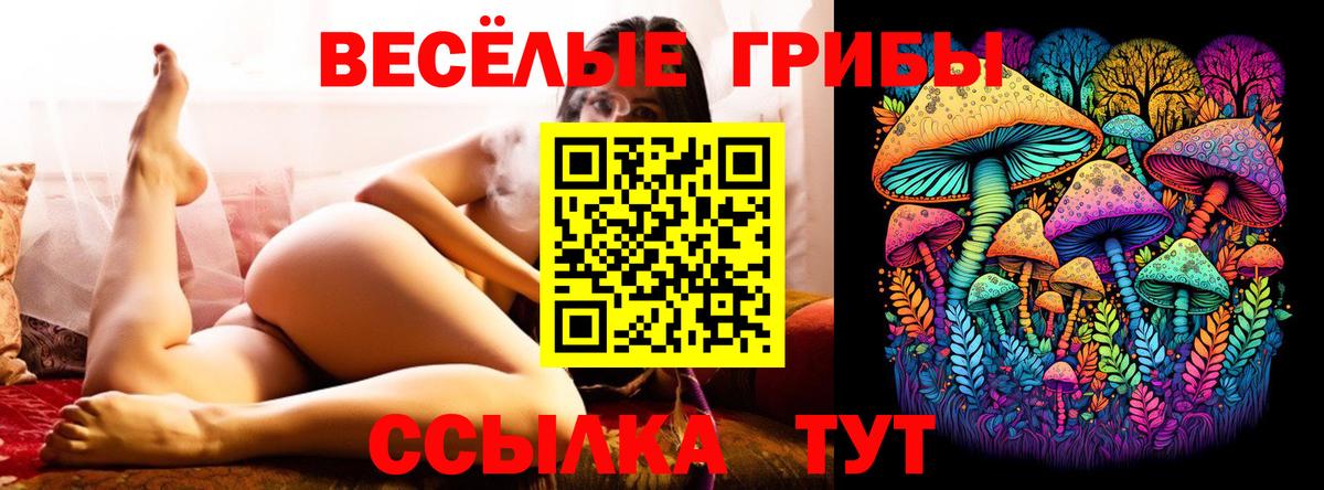 Псилоцибиновые грибы мицелий  Вход с VPN  Солнечногорск  Галлюциногенные грибы ЛСД 